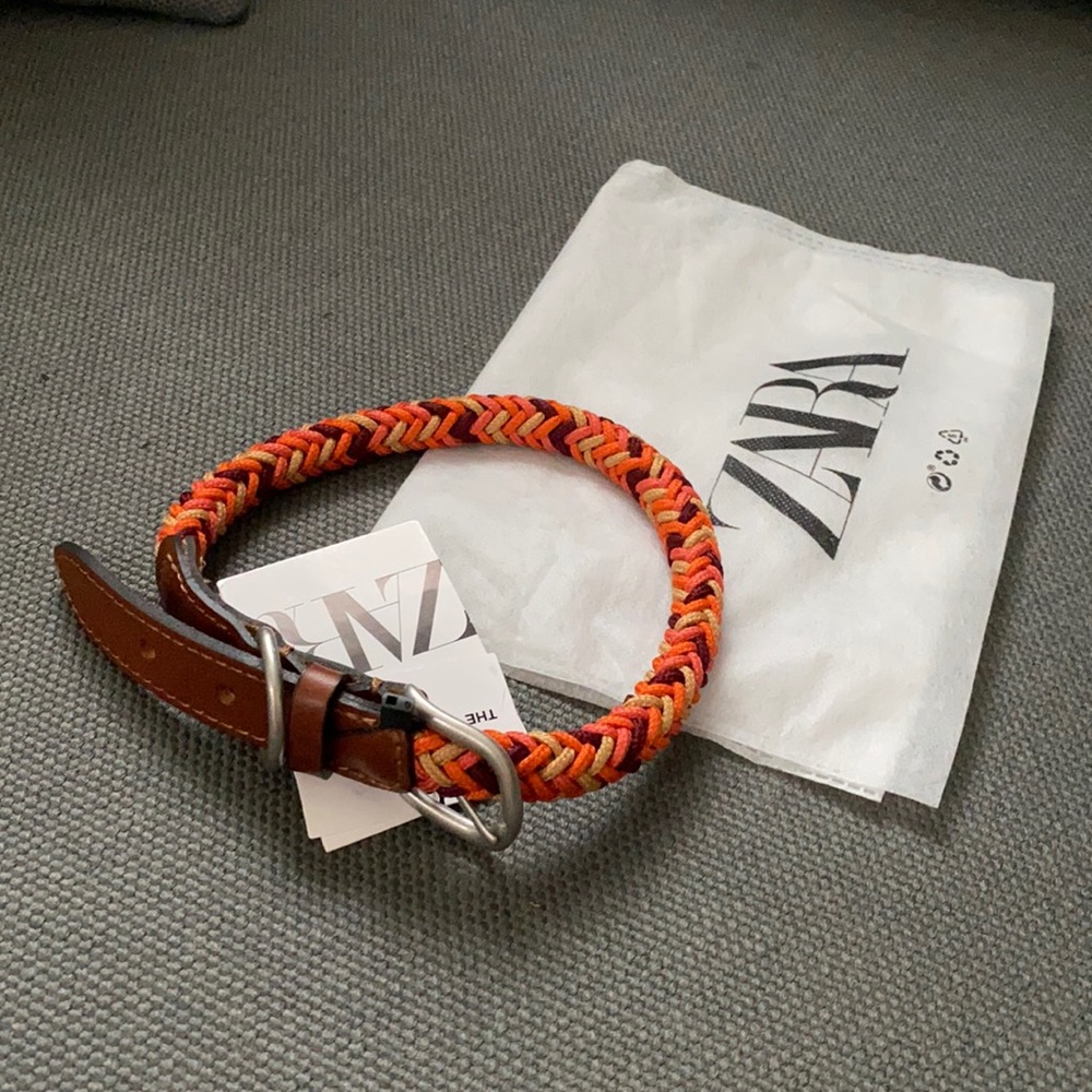 ZARA Dog Collar